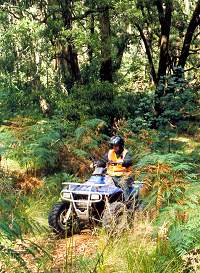 victorian quad bike tours photos